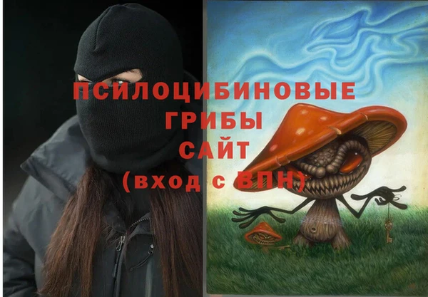 мескалин Надым