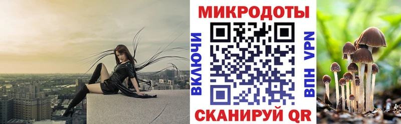 Псилоцибиновые грибы Psilocybe  Бийск 