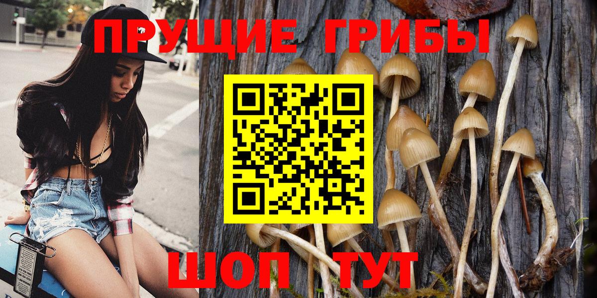 Псилоцибиновые грибы GOLDEN TEACHER Бийск